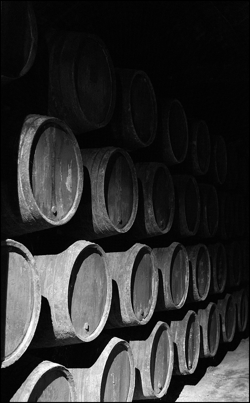 Barrels in Sandeman warehouse
