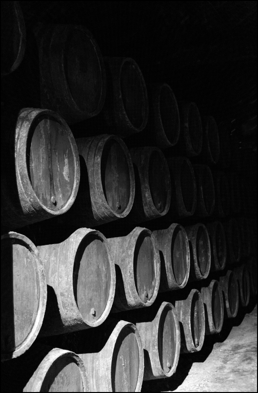 Barrels in the Sandeman warehouse