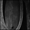 Barrels in Sandeman warehouse